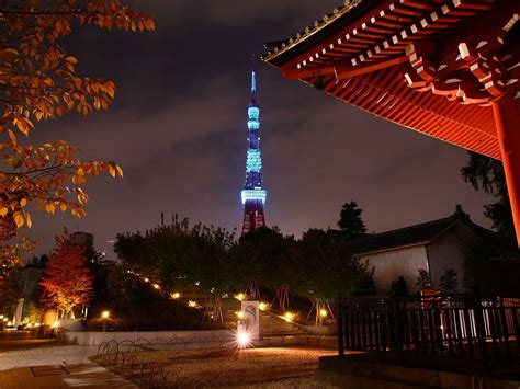 japan, Tokyo, Trees, Cityscapes, Tower, Japanese, City, Lights, Tokyo ...