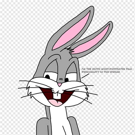 Bugs Bunny Rabbit Cartoon Drawing Bugs Bunny White Mammal Face Png
