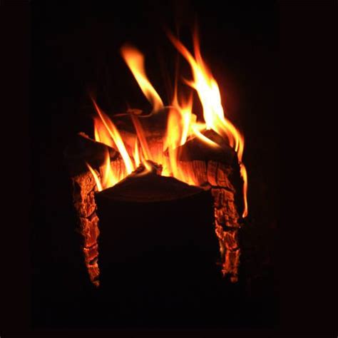 Große auswahl dauertiefpreise 30 tage rückgaberecht schwedenfeuer bei hornbach finden! Schwedenfeuer | Gartenfackel | Baumfackel | HOLZBRX.de ...