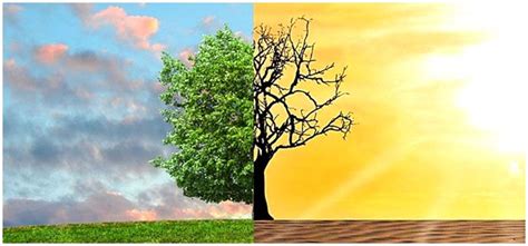 According to scientists, if the earth does not cool down within a few hundred years, it is possible that future generations will not be able to survive on earth. Global Warming and Greenhouse Effect - Causes, Effects ...