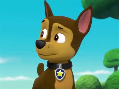 Paw Patrol On Tv Series Channels And Schedules Tv Co Uk