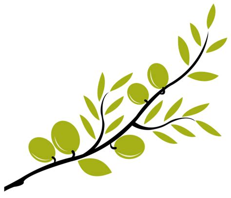Free Olive Branch Download Free Olive Branch Png Images Free Cliparts On Clipart Library