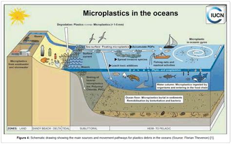 Pollution And Effects World Plastics Production Marine Environment
