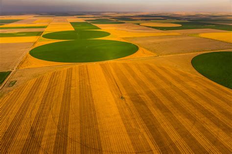 Aerial View Wheat And Corn Fields Goodland Kansas Usa Blaine