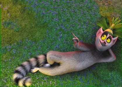 What Kind Of Animal Is King Julien? - The King Julien Official Club