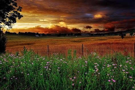 Free Download Country Farm At Sunset Pretty Glow Grass Bonito