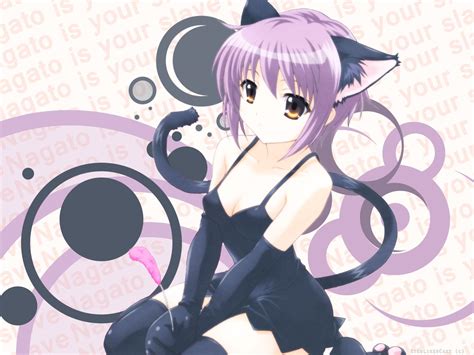 Anime Cat People Wallpapers Wallpaper Cave