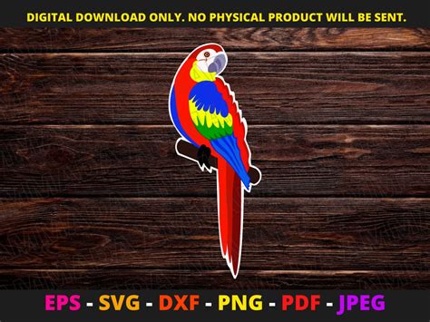 Parrot Svg Macaw Svg Colorful Bird Svg Instant Download Printable