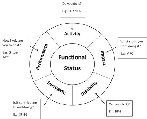 An Illustration Of The Five Categories Of Functional Status Measures