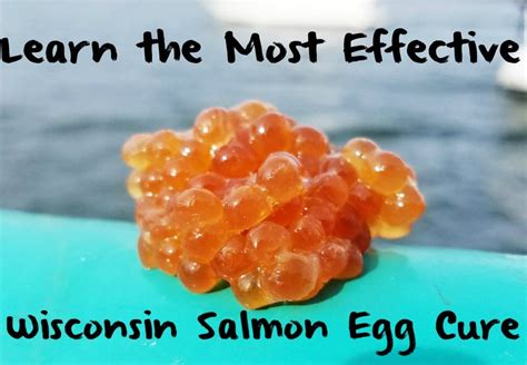 Learn The Most Effective Wisconsin Salmon Egg Cure Pautzke Bait Co