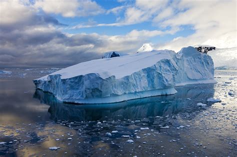 Giant Icebergs Boost Southern Ocean Carbon Storage Says Study Carbon