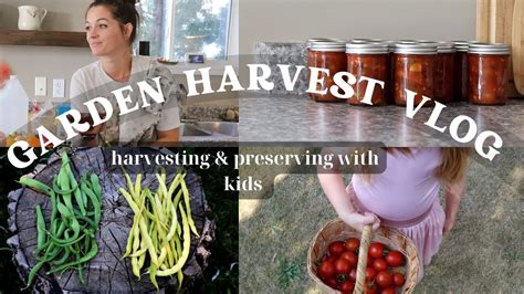 Harvesting Our City Garden Storing And Canning Youtube
