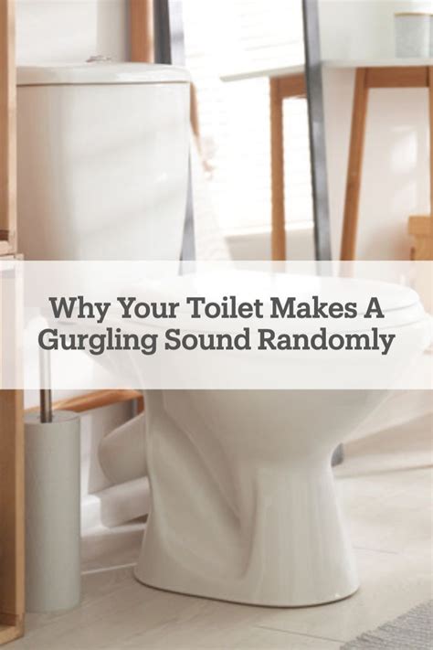 The Real Reason Your Toilet Is Gurgling Toilet Sound