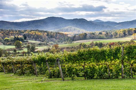 Virignia Mountain Vineyards Savor Virginia