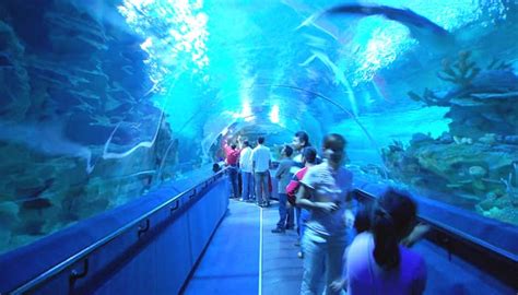 Aquaria klcc that located at the heart of the kuala lumpur city is home to over 5,000 animals in over 250 species. Top 20 Most Famous Tourist Places to Visit in Malaysia