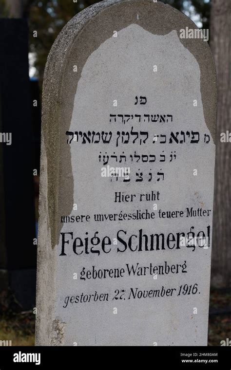 Wien österreich 02 Februar 2022 Alter Jüdischer Friedhof Im Wiener
