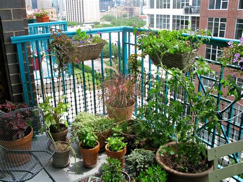 25 Easy Apartment Gardening Ideas For Beginners Balcony