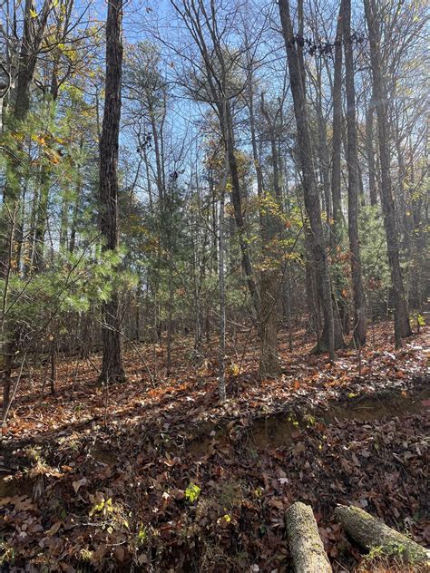 Chatsworth, Murray County, GA Undeveloped Land for sale Property ID