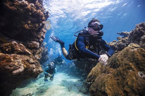 Heres Why Scuba Diving Is The Best Retirement Job