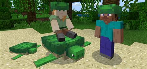 How long does it take for a turtle egg to hatch? Turtle Plus Add-on | Minecraft PE Mods & Addons