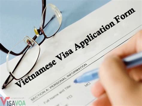 How To Fill In The Vietnamese Visa Application Form N