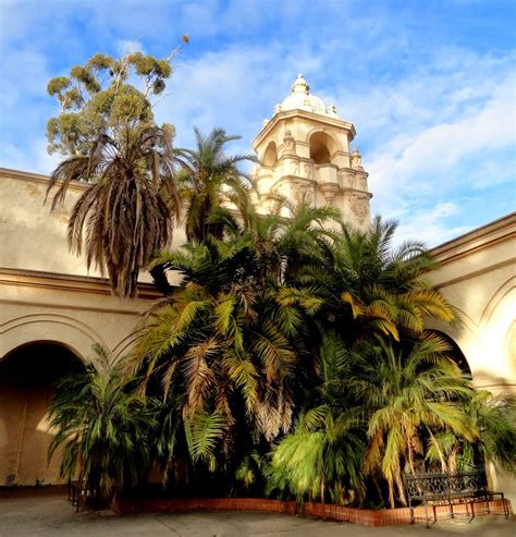 Some call kate sessions the mother of balboa park since she was instrumental in introducing many trees and plants into balboa park when the park was in its infancy. danger garden: San Diego's Balboa Park