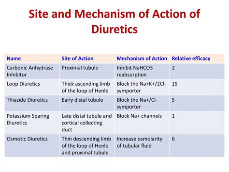 Ppt Dr Kaukab Azim Powerpoint Presentation Free Download Id1890674