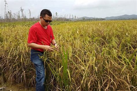 Panel bidang sains sosial, ppkk malaysia: Pengusaha Taiwan Investasi Pertanian di Lingga | Harian Kepri