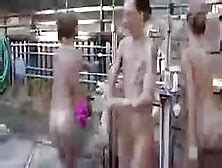 Documentary Nudist Tube Search Videos
