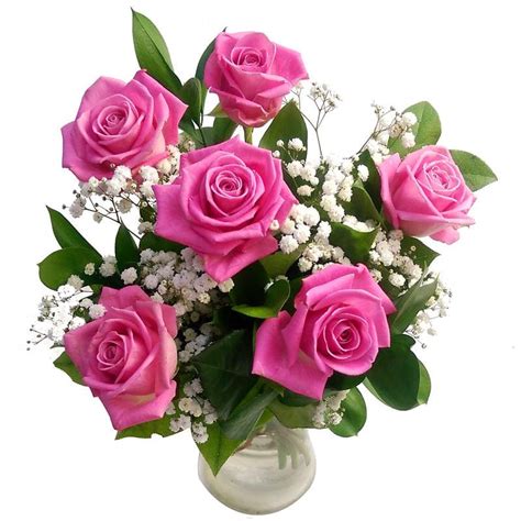 6 Pink Roses Fresh Flower Bouquet Lovely Arrangement Of 6 Pink Rose