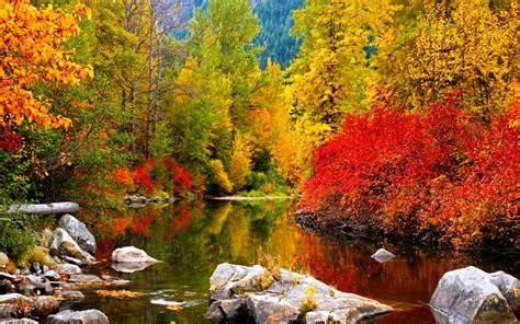 Download High Resolution Fall Wallpaper Forest River Fuccha Voice By