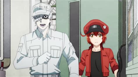 Cells At Work Season 2 Review The Benefits Of Vaccination And