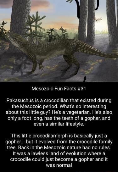 Mesozoic Fun Facts 31 Pakasuchus Is A Crocodilian That Existed During