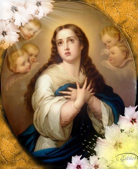 Testimonios Para Crecer La Inmaculada Concepción De La Bienaventurada