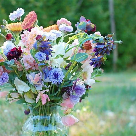 Best Cut Flowers For Beginners How To Create A Cut Flower Garden For