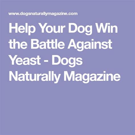 Pin On Dog Yeast Infection Treatment