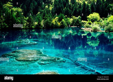 Asia China Sichuan Province Jiuzhaigou National Scenic Area Clear