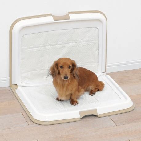 These extra large puppy wee pads have improved polymer technology. IRIS Extra Large Foldable Dog Toilet Pet Training Pad Tray ...