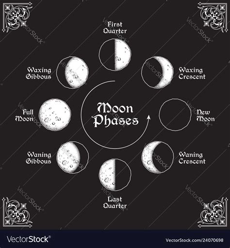 Antique Style Moon Phases Circle Moon Phases Moon Tattoo Moon