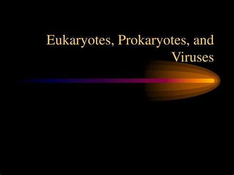Ppt Eukaryotes Prokaryotes And Viruses Powerpoint Presentation