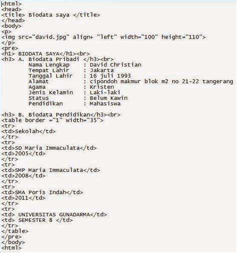 cara membuat biodata sederhana: membuat biodata pribadi secara sederhana