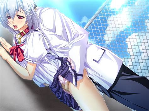 Rule 34 Female Bed Blush Breasts Fence Game Cg Goshujinsama Daisuki