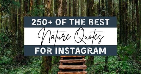 Instagram Captions For Nature Background For A Perfect Caption