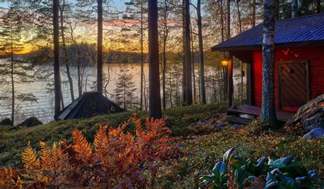 Download Tree Forest Lake Man Made Cabin Hd Wallpaper