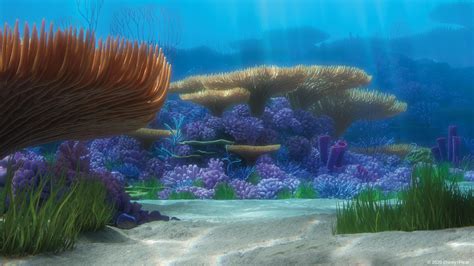 Finding Nemo Coral Reef Virtual Backgrounds