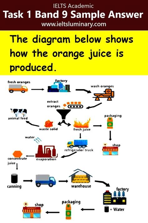 The Diagram Shows How The Orange Juice Is Produced Task 1 Process