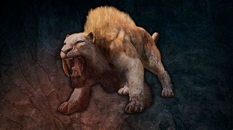 Sabertooth Wallpapers 67 Images