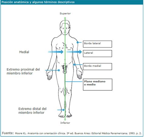 Generalidades De La Anatomia Generalidades De La Anatomia