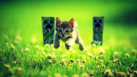 10 Minecraft Cute Cats That Will Make You Want To Play Minecraft
