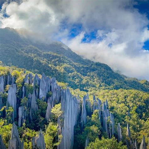 Do You Know Rm100 Background Is Gunung Mulu National Park Which Can Be